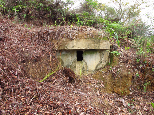 衛星槍堡PBY （照片提供：香港大學）